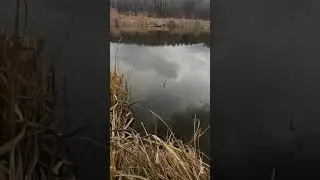 Просто кораблик