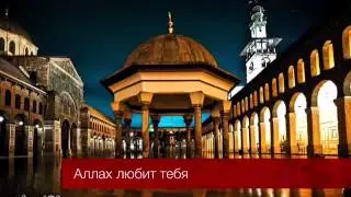 Аллах любит тебя   Надир абу Халид