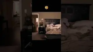 Что он вытворял?! 🤣 #shorts #funny #meme #jokes #tiktok