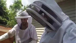 First time harvesting honey!