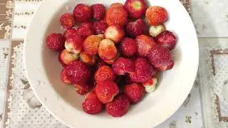 Есть у каждого родной уголок, там где можно отдохнуть душой!