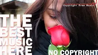 ❤🔥Background music for youtube videos without copyright free download