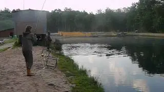Ловля форели 5 Мамка рыболов