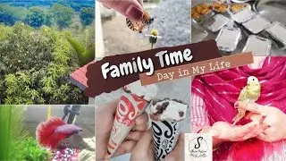 🌼Family Time | Day in My Life | 🕊️Birds & Fish | #trendingvlog #viralvideo