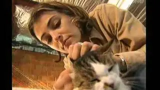 Harry's Practice - how to look after an elderly cat