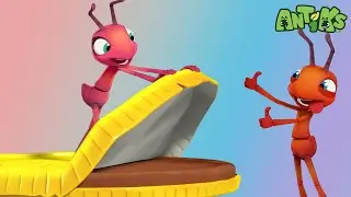 Choco Coin | Antiks 🐜 | Funny Cartoons for Kids