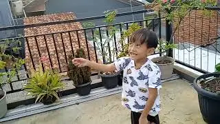 Adu Layangan Berdua Aja Juga Seru, Yang Penting Happy!!