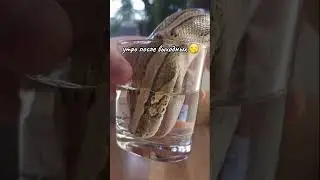 Сушняк 😄😄 