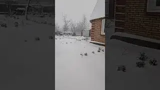 Наконец-то выпал снег!