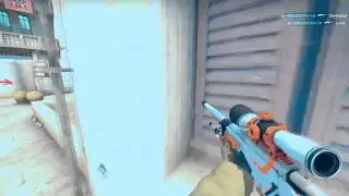 SWAGGAFOX -2 with awp :CSGO