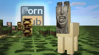 My Friends Made Me A Texture Pack…