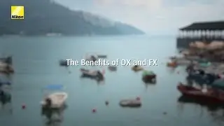 Nikon Unveiled | Las ventajas del DX y FX