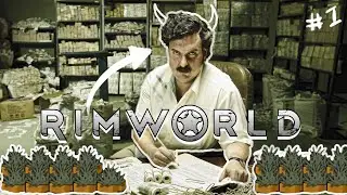 Rim World | 3hz Cartel | Stream 1.1 |