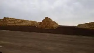 Осень 2020