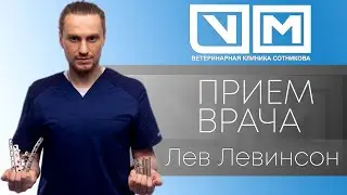 Прием врача. Лев Левинсон