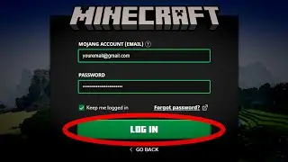 How 48,000,000 Minecraft Accounts Got Hacked