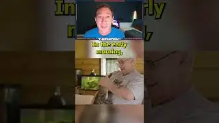 Emotional Support Alligator Was STOLEN!