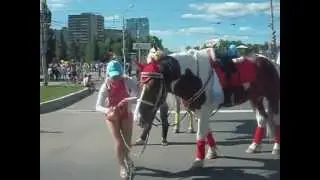 Лошадь тоже любит пиво.