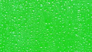 rain drops green screen video