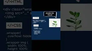 CSS Hover Zoom CSS | CSS Hover Zoom Effect
