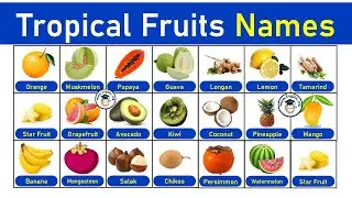 20 Common Tropical Fruits Name with Pictures