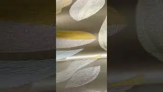 Штори жакард Alterna