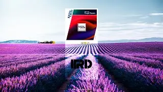 Uplifting Trance | Eddie Lung - Purple Flowers (Radio Mix)