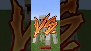 Iron Golem VS Warden