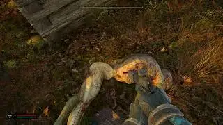 Тайники Гиблая Чаща Малая Зона  S.T.A.L.K.E.R.2:Heart of Chornobyl