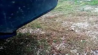 Неожиданный сюрприз после поездки