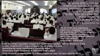 כי התורה כוללת – Все в Торе