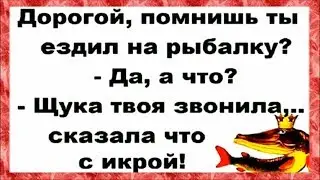 Не загоняйте ЖЕНЩИН в угол... ПРИКОЛЬНЫЙ анекдот дня.