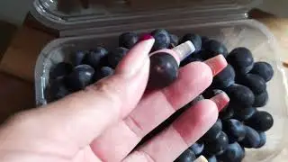 grape mpp88