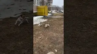 Весеннее обострение /ч.1