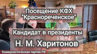 Посещение КФХ "Краснореченское" с кандидатом в президенты РФ