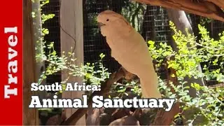 South Africa: Animal Sanctuary