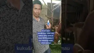 testimoni 8io NSTM | Nasa.stb @naturalnusantara