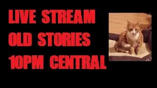 Live w/ Orange Cat