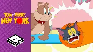 Tom & Jerry Go to the Yoga Class | Tom & Jerry in New York | Boomerang UK