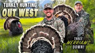 Chasing MERRIAM'S In The Pines, 3 EPIC Western Turkey Hunts | Turkey Season 25