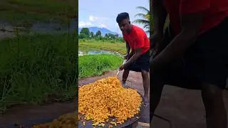Chicken Pasta #shorts #reels #food