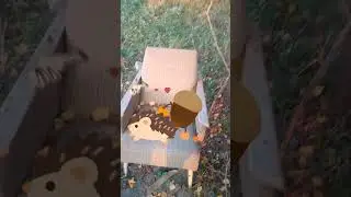 осень наизнанку (2 микросерия)