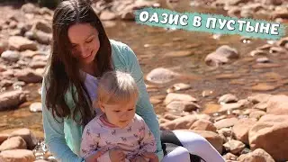 НАШЛИ ОАЗИС ПОСРЕДИ ПУСТЫНИ! ПЕРВЫЙ ПОХОД ЭМИЛИ!