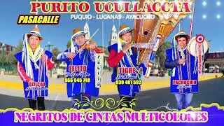 PASACALLE de NEGRITOS de CINTAS MULTICOLORES PURITO UCULLACCTA 2024 con FELITO y TIGRE de CHIPAO 🎶