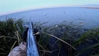 ДВЕ ЗОРЬКИ НА УТИНОЙ ОХОТЕ