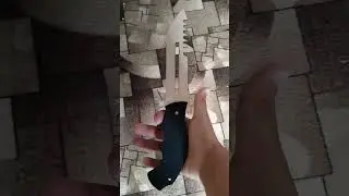 Моя коллекция