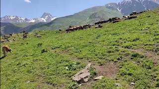 Манзарахои Точикистон 🇹🇯