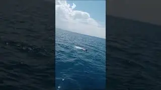 в начале прыгнула в жилете)) потом сняла и купалась без спасательного жилета 🤗