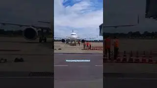 Vistara 🥰 #shorts #aviation