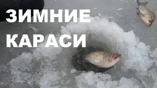 149 Зимние серебряные карасики  на безмотылку и блесенки в Волжском заливе//Volga ice fishing